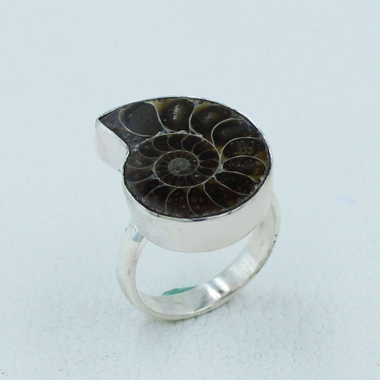 Fossilized Ammonite Sterling Silver Ring