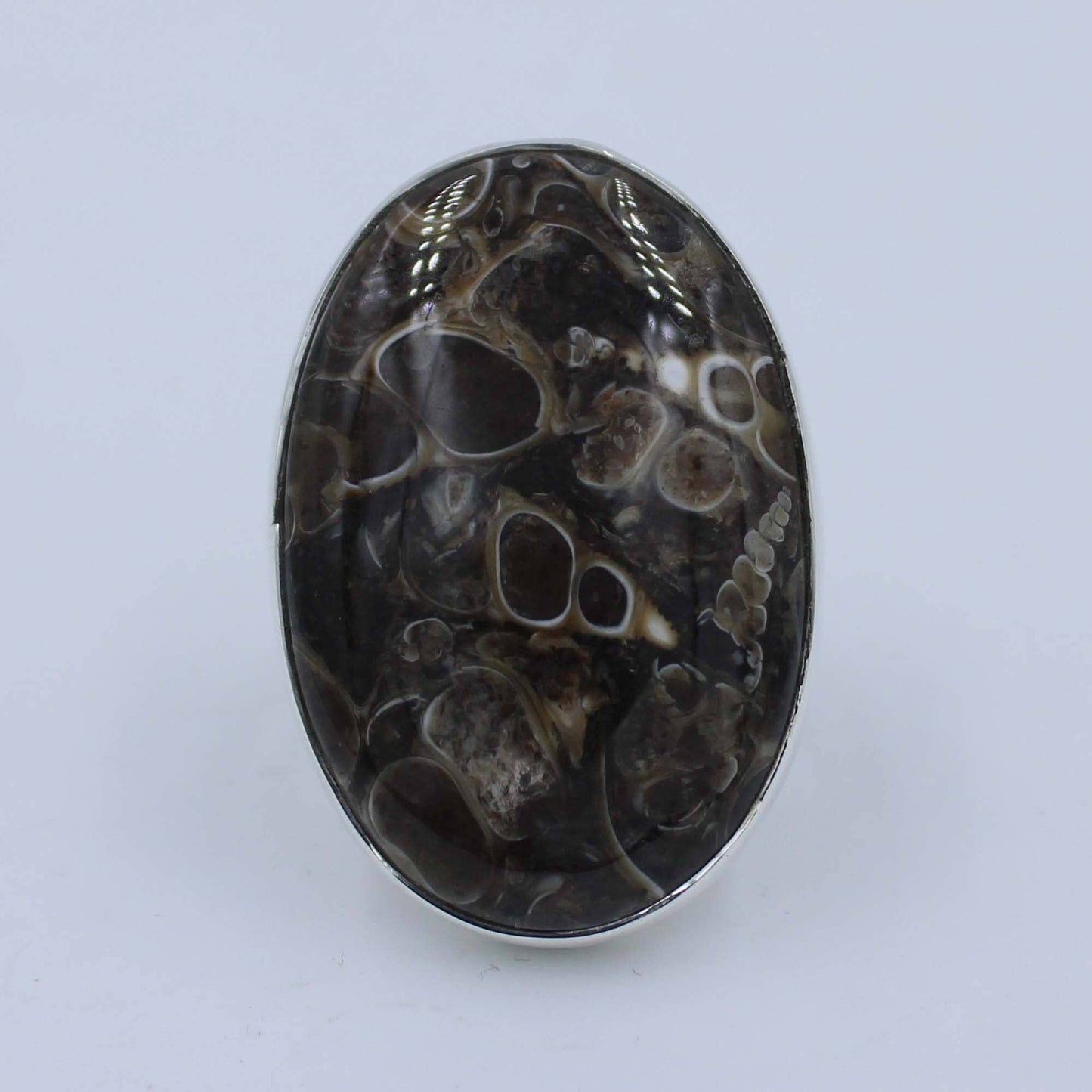 Turritella Agate Sterling Silver Ring