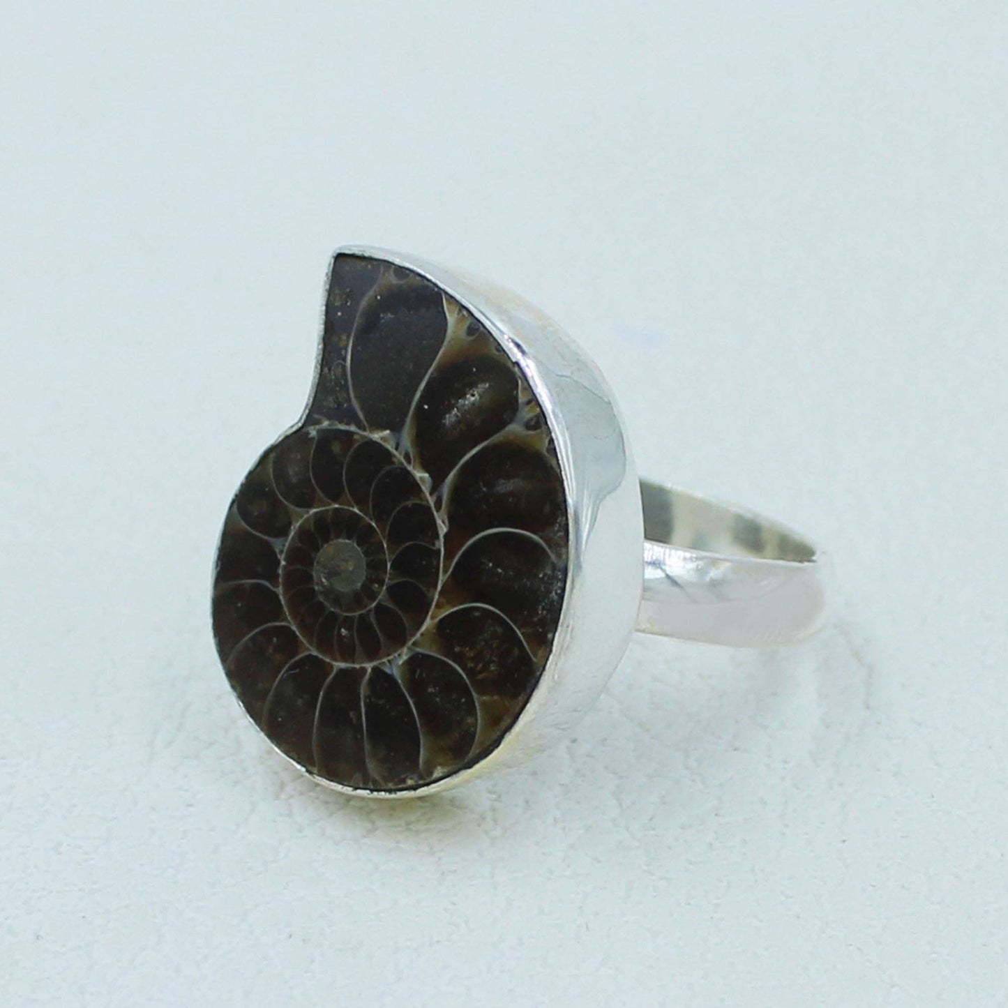 Fossilized Ammonite Sterling Silver Ring