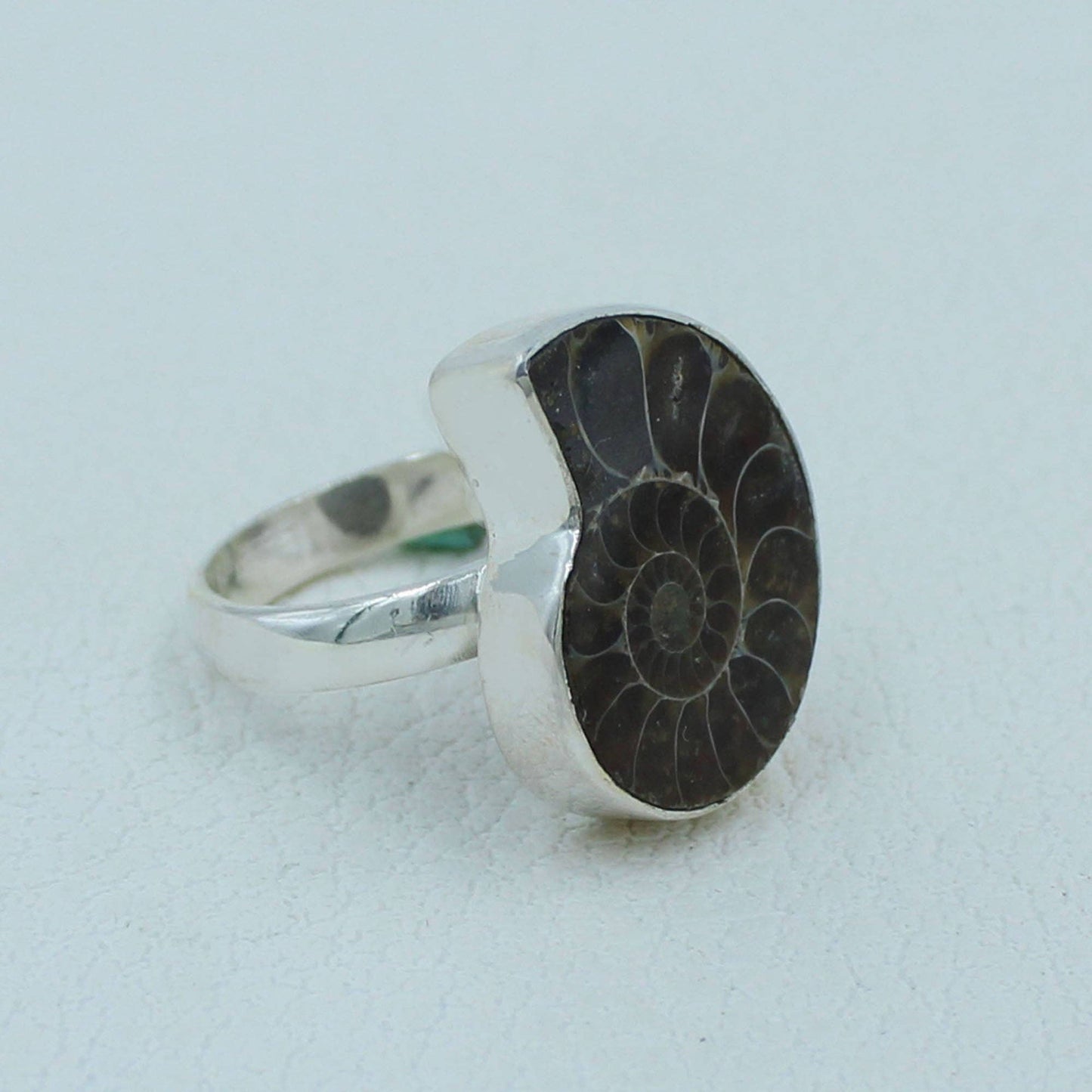 Fossilized Ammonite Sterling Silver Ring