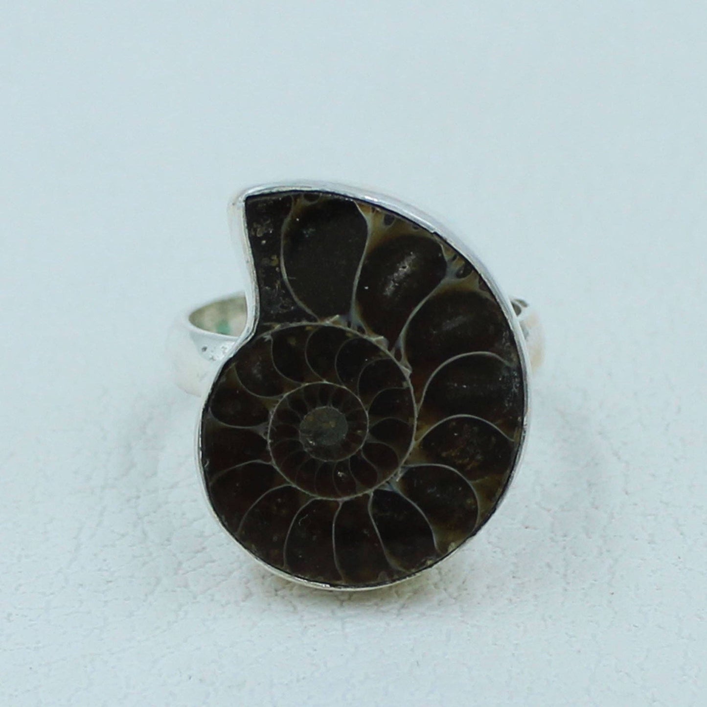 Fossilized Ammonite Sterling Silver Ring