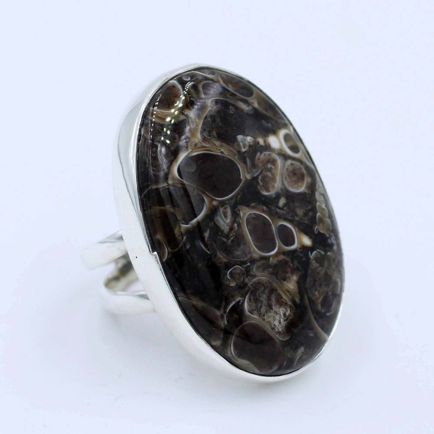 Turritella Agate Sterling Silver Ring