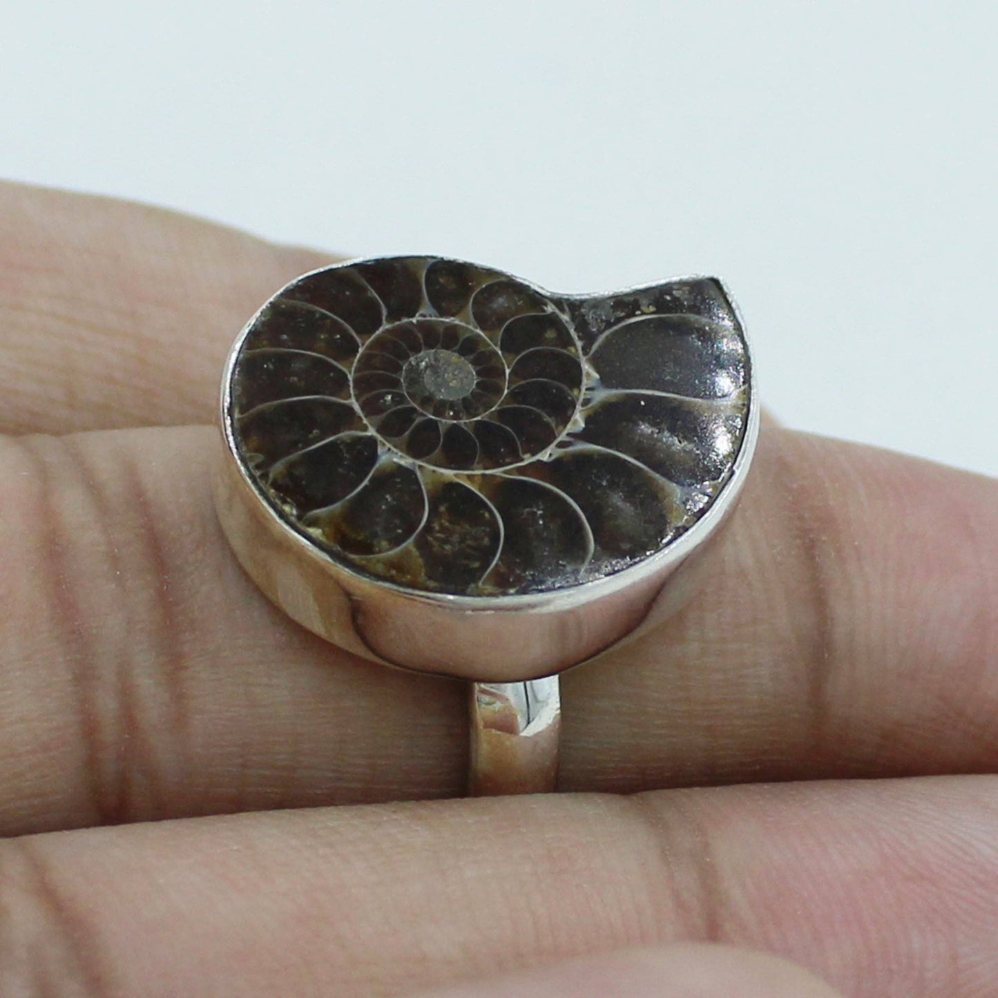 Fossilized Ammonite Sterling Silver Ring